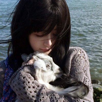 猫和老鼠50周年纪念版