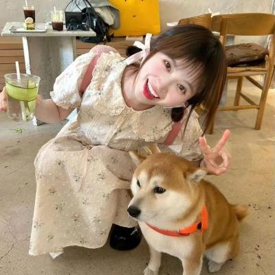 小闯横莱坞